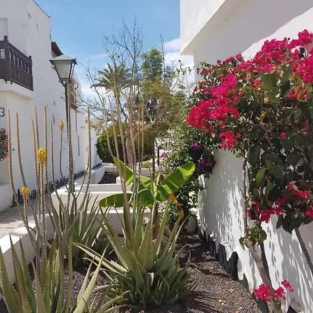 Apartment Charlotte Up Arona (Tenerife)