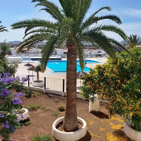 Charlotte Up Apartment Arona (Tenerife)